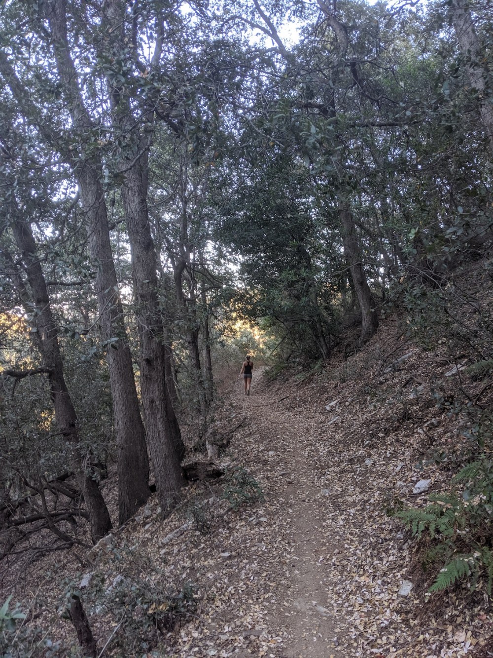 IMG_20191109_152536_resized