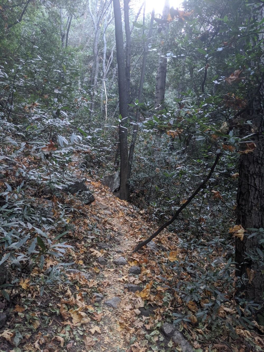 IMG_20191109_160623_resized