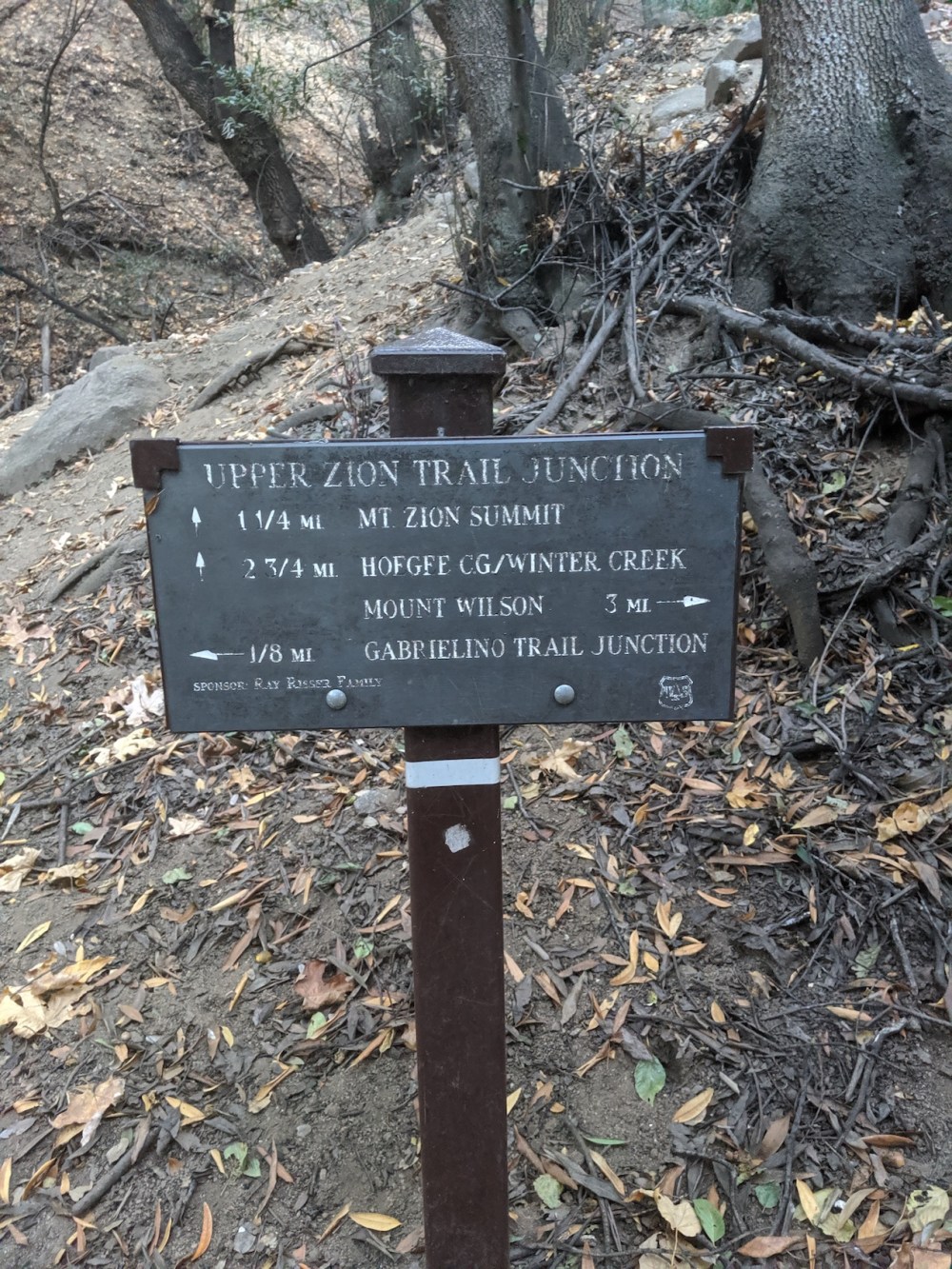 IMG_20191109_160859_resized