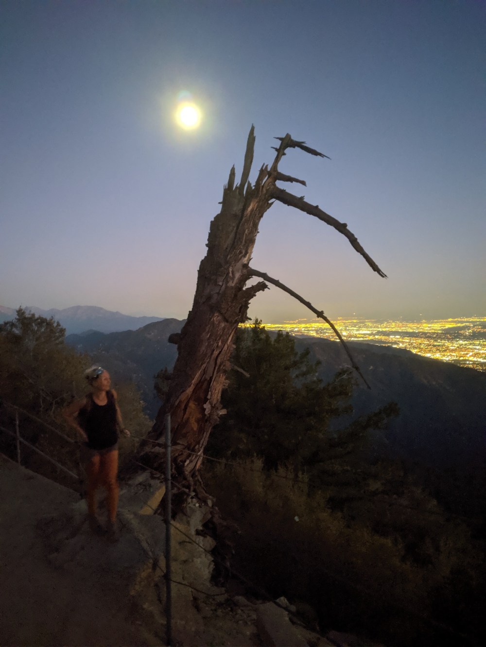 IMG_20191109_173010_resized