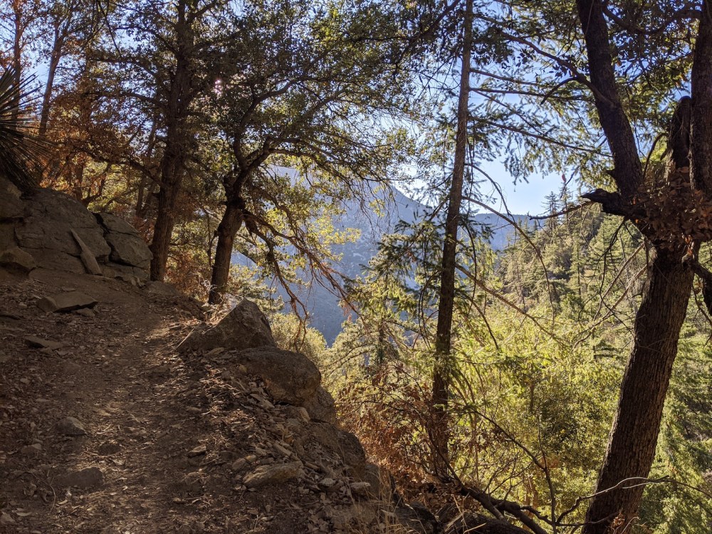 IMG_20191117_082925_resized