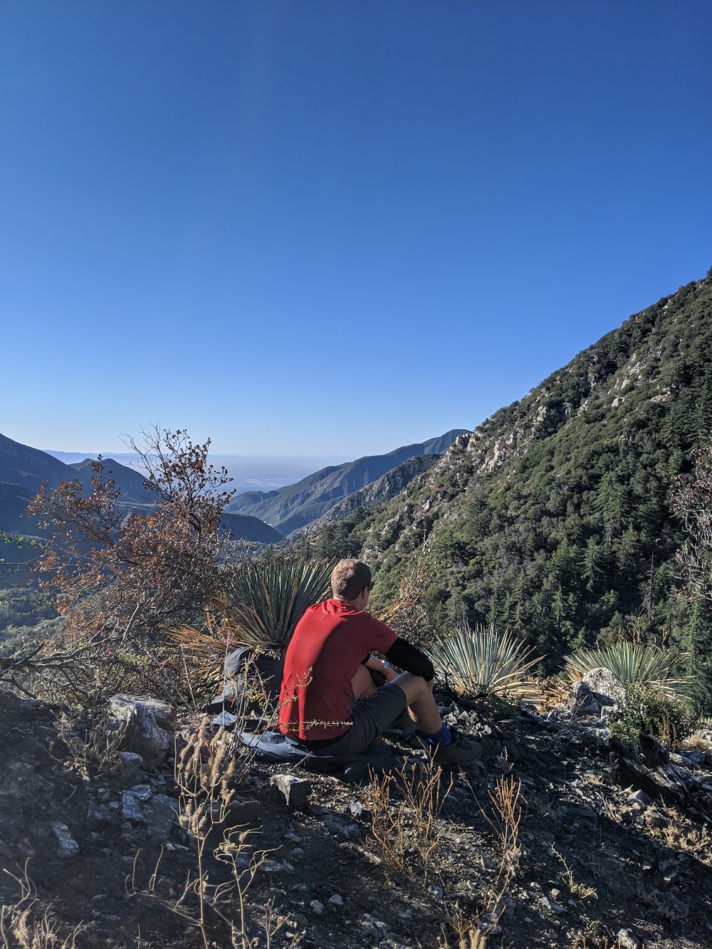 IMG_20191117_084736_resized