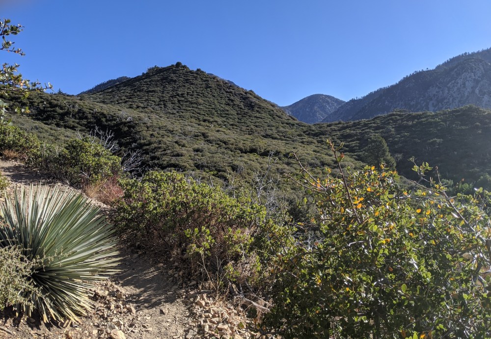 IMG_20191117_091449_resized