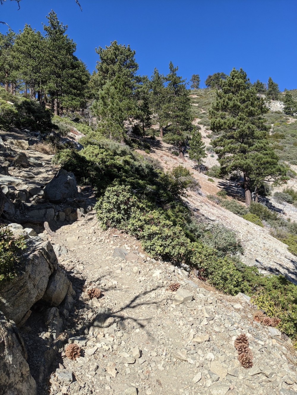 IMG_20191117_094858_resized