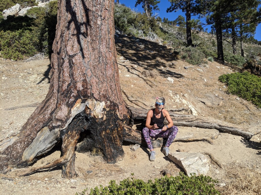 IMG_20191117_095652_resized