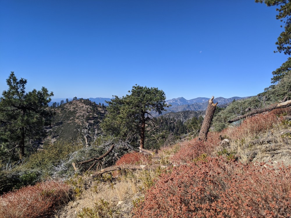 IMG_20191117_100746_resized