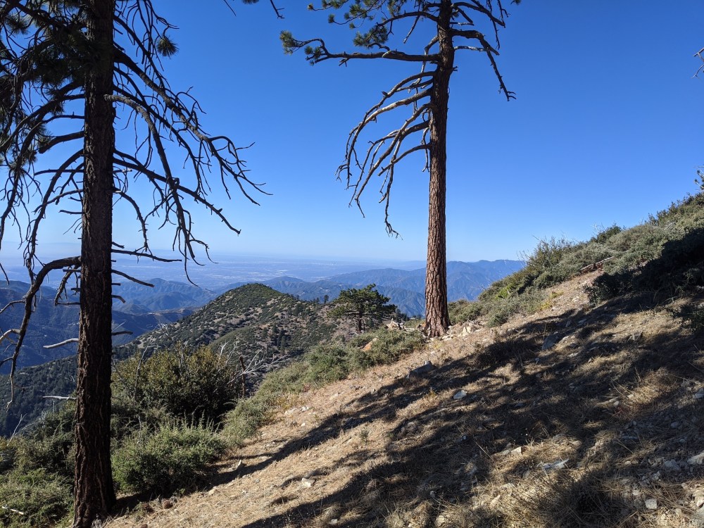 IMG_20191117_101703_resized