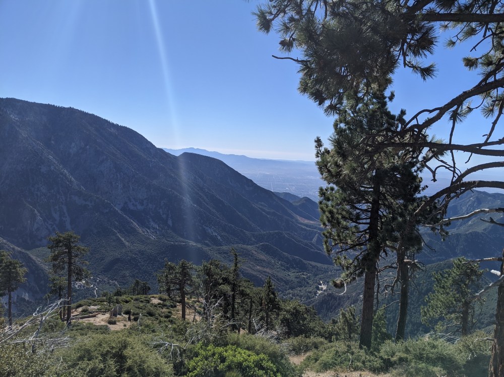 IMG_20191117_101737_resized