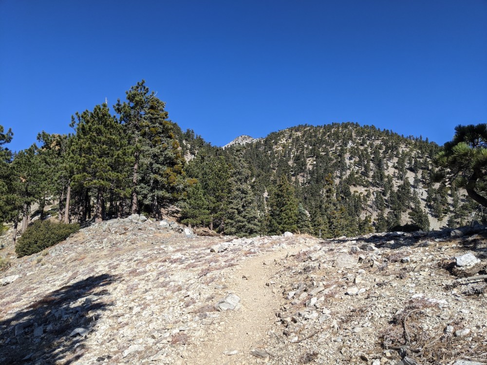 IMG_20191117_103402_resized