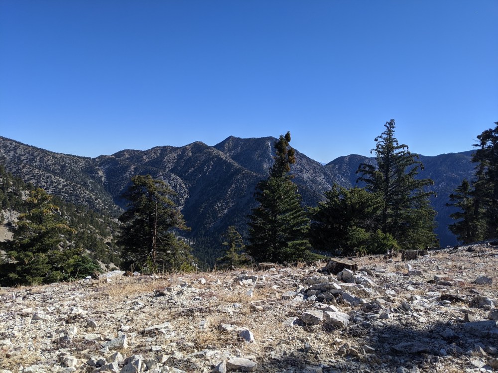 IMG_20191117_103645_resized