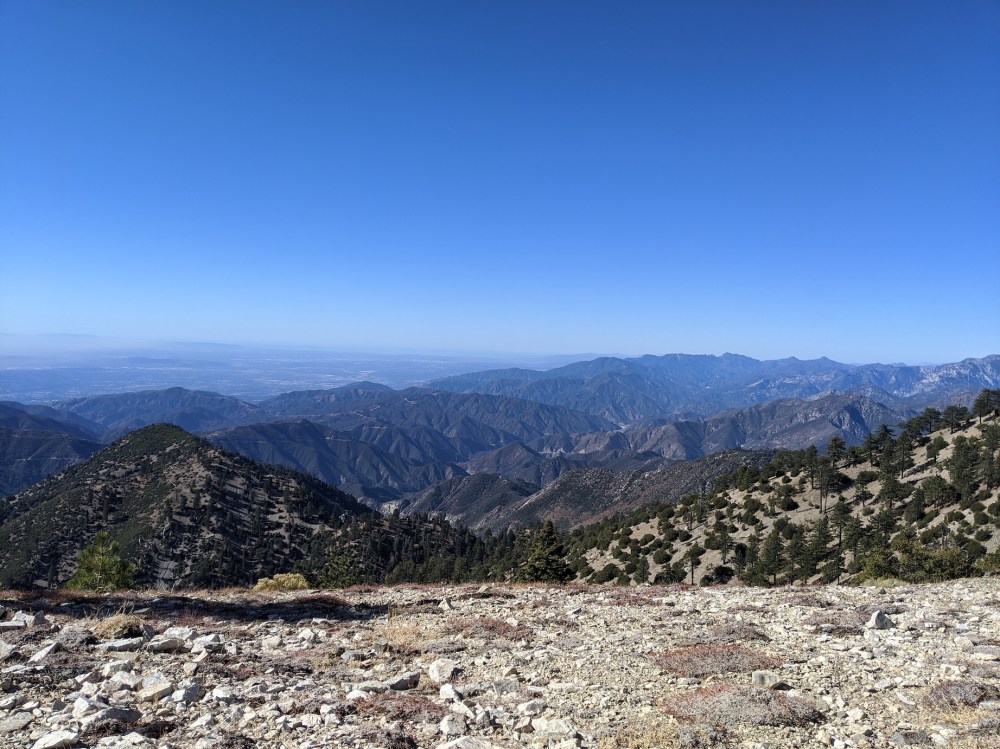 IMG_20191117_103714_resized