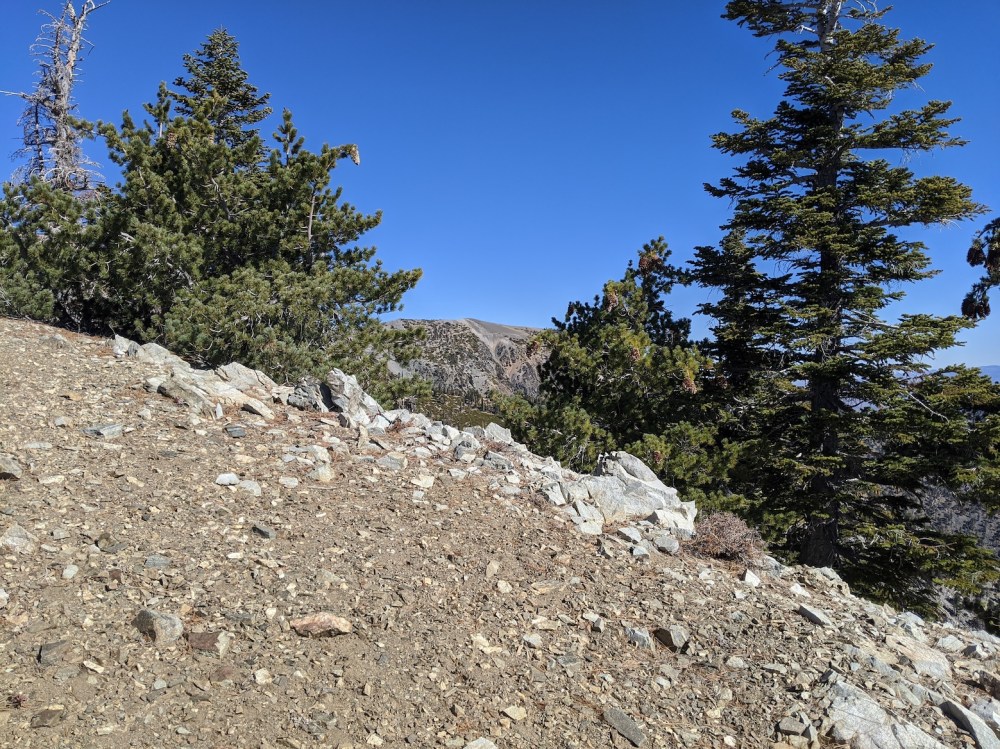 IMG_20191117_112658_resized