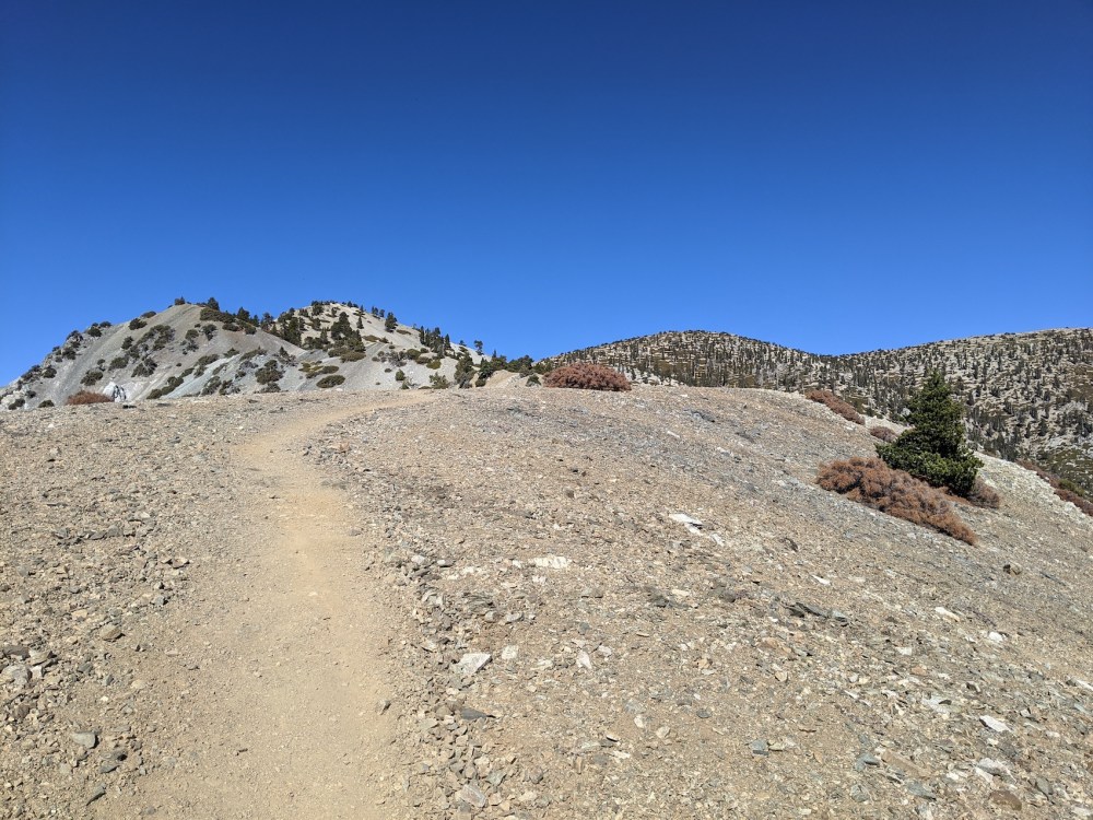 IMG_20191117_112801_resized