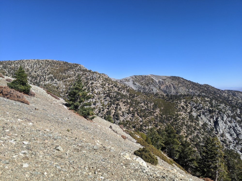 IMG_20191117_112804_resized