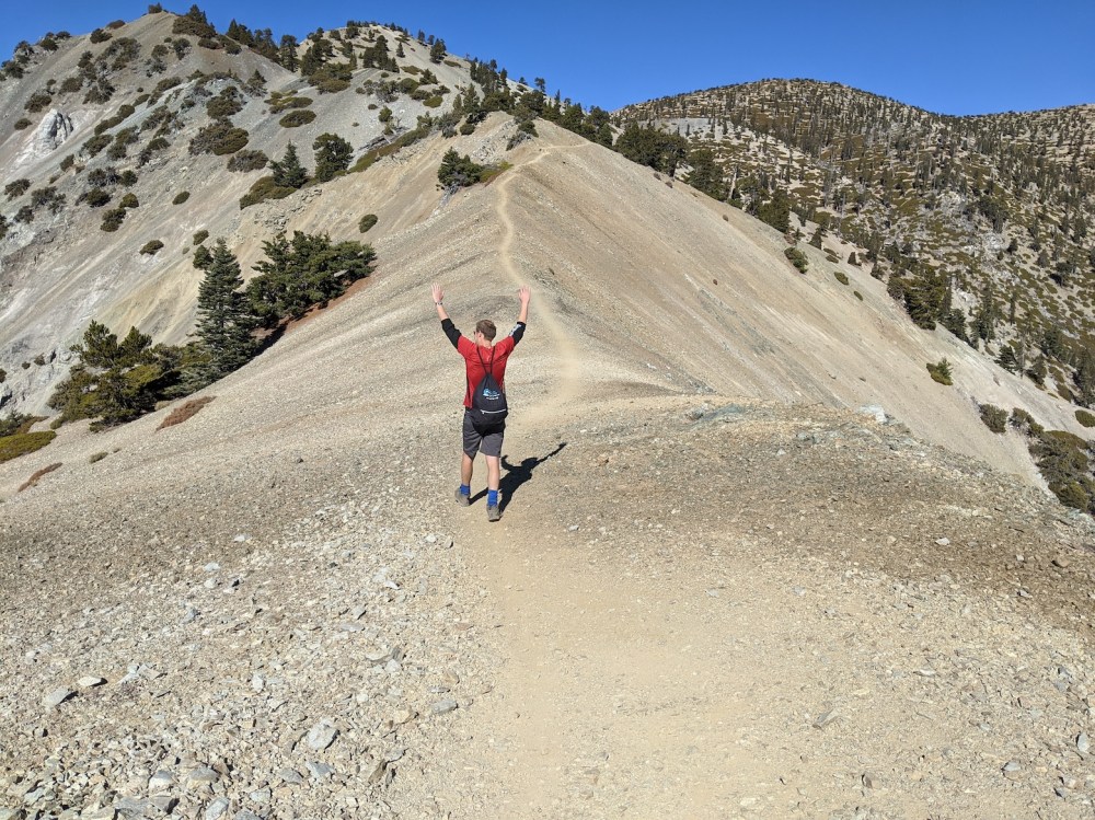 IMG_20191117_112941_resized