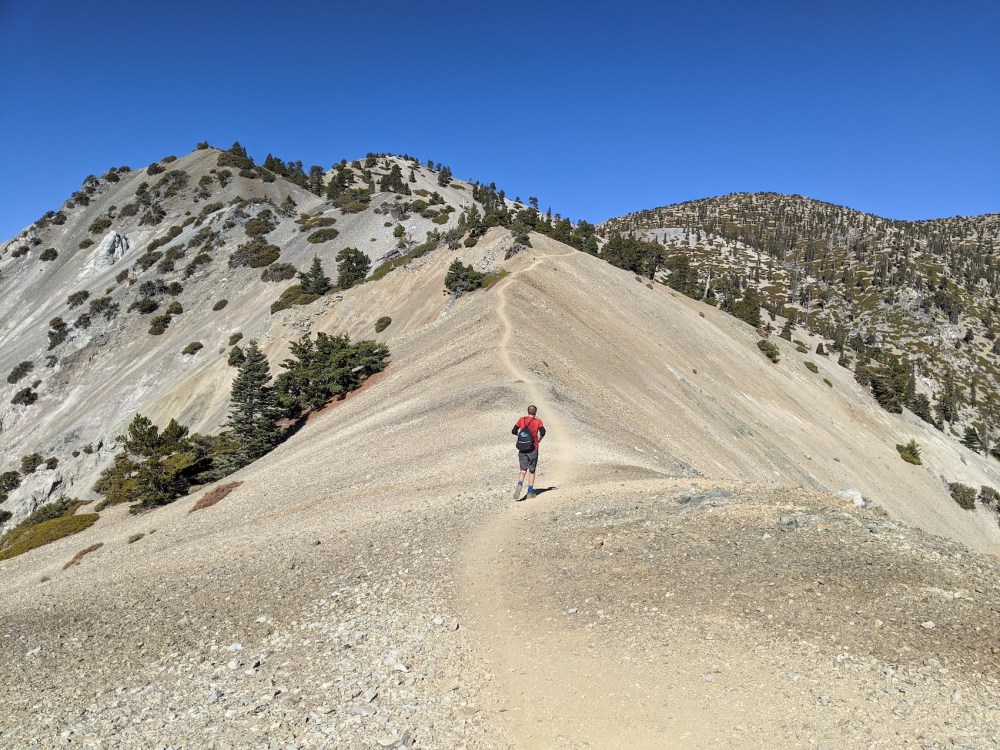 IMG_20191117_112945_resized