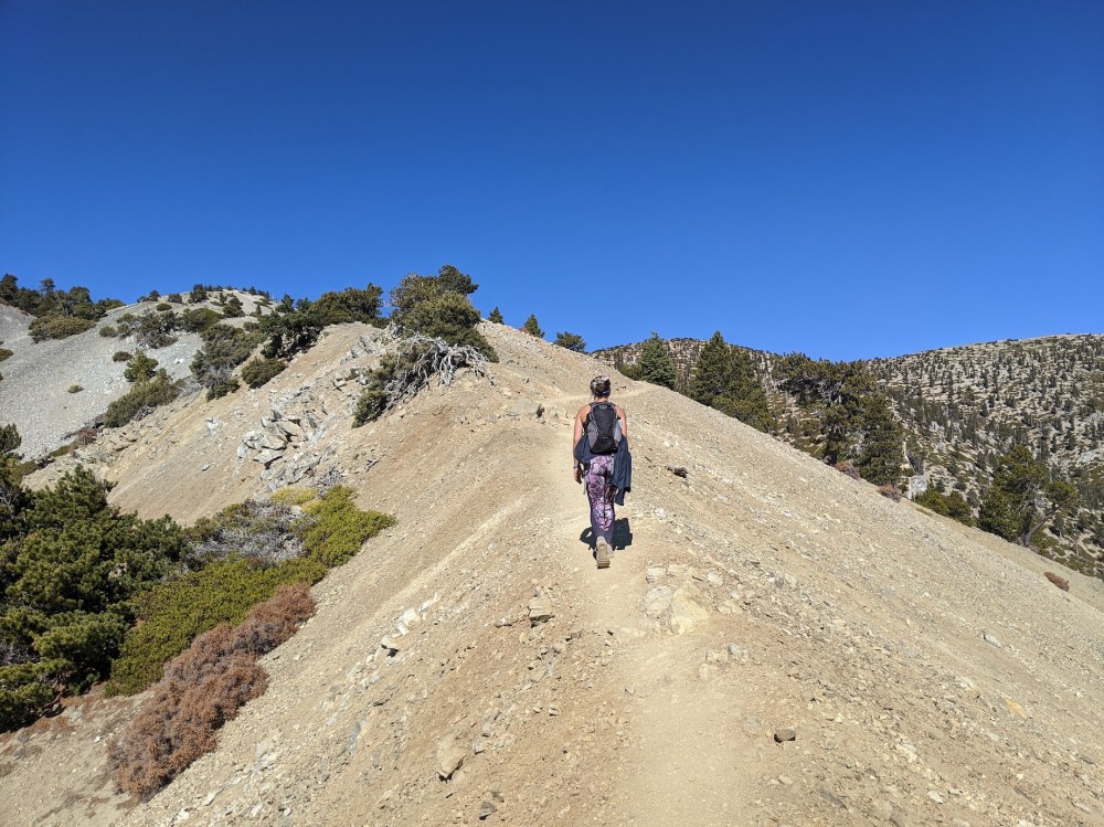 IMG_20191117_113134_resized