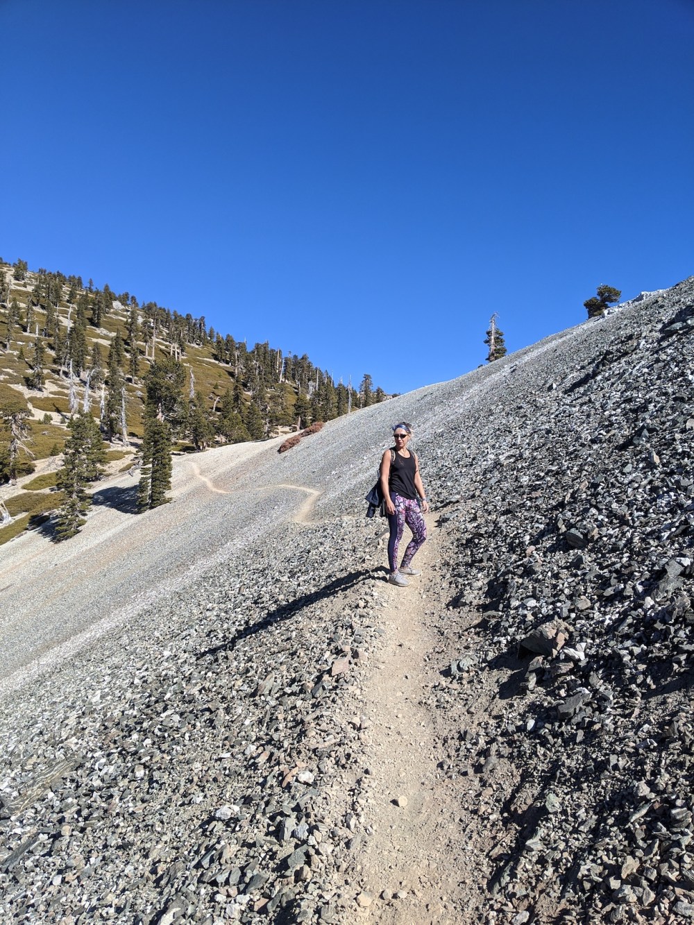 IMG_20191117_115806_resized