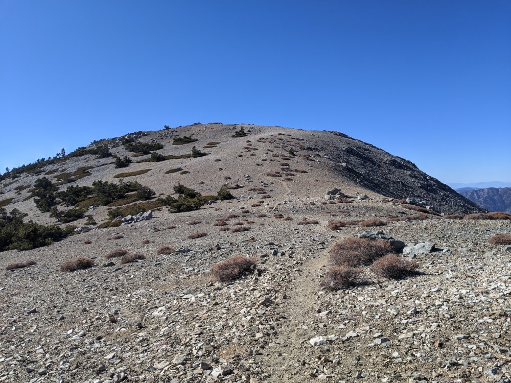 IMG_20191117_121756_resized