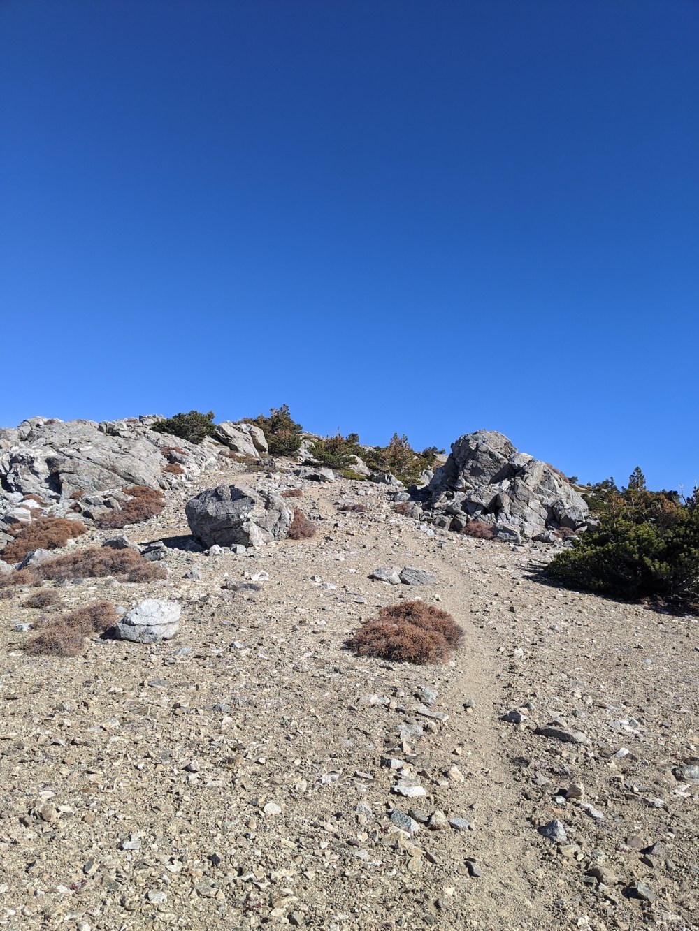 IMG_20191117_121800_resized