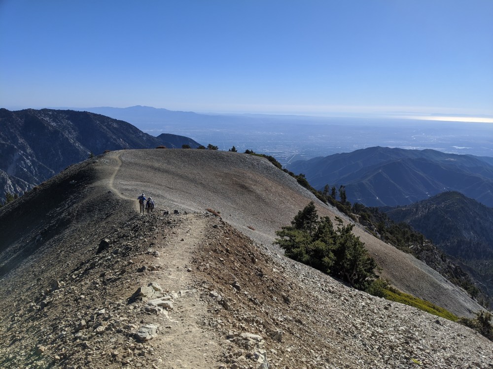 IMG_20191117_133445_resized