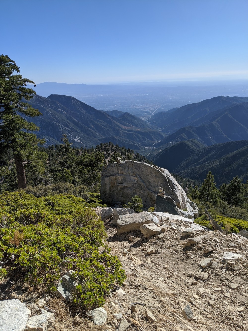 IMG_20191117_135800_resized