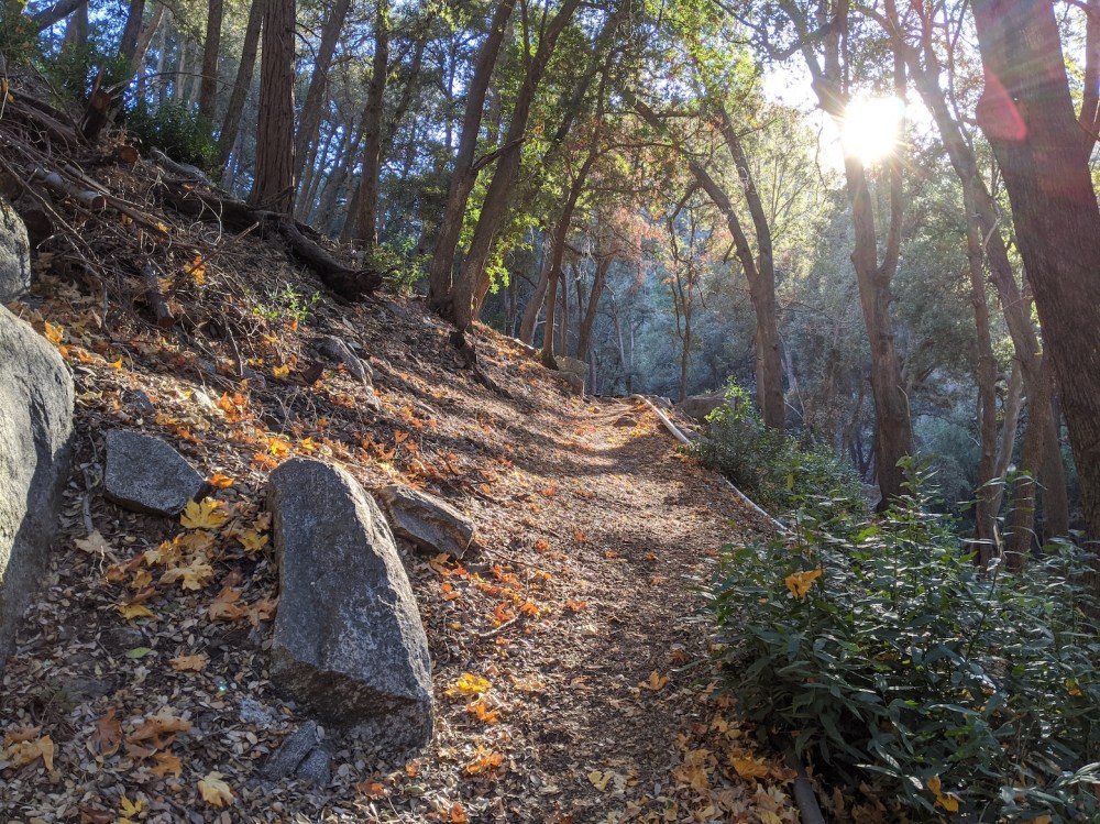 IMG_20191117_153012_resized