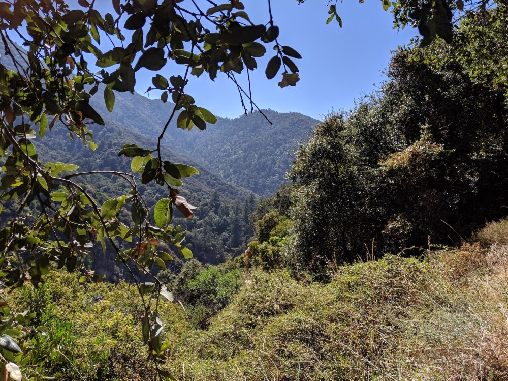 MVIMG_20190907_104351_resized