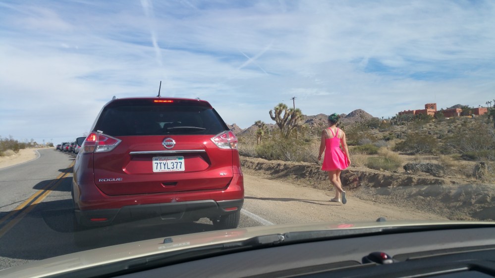 2016-11-12 13.30.05_resized