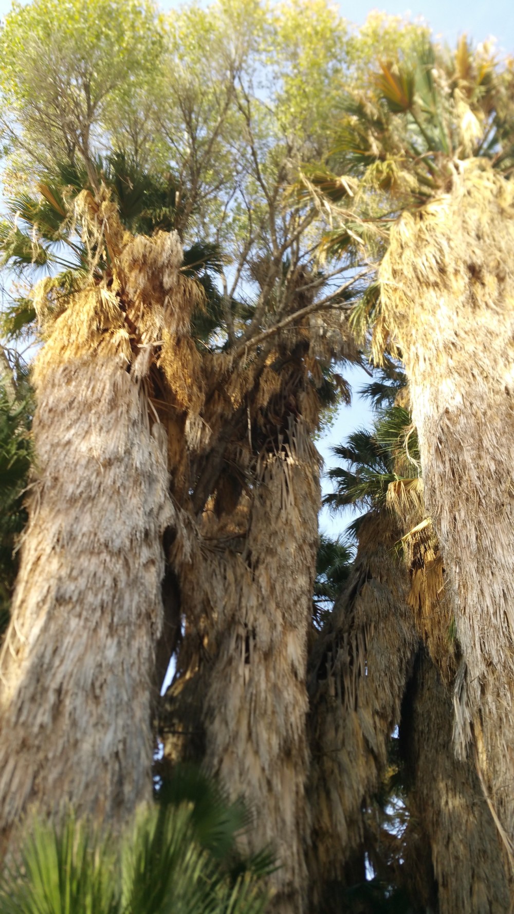 2016-11-12 15.25.26_resized