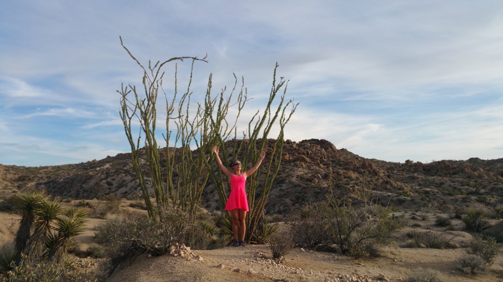 2016-11-12 15.31.46_resized