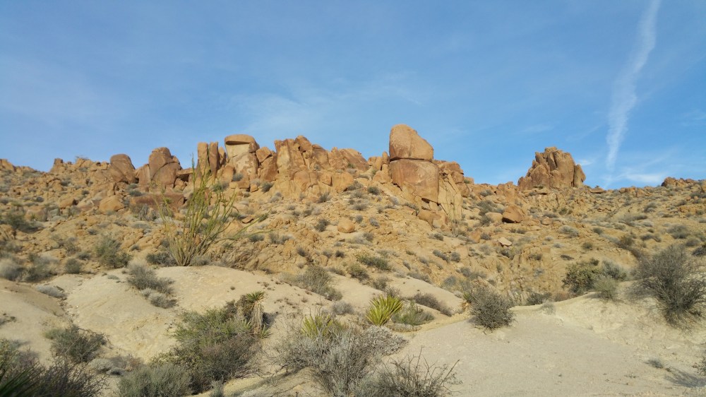 2016-11-12 15.33.26_resized