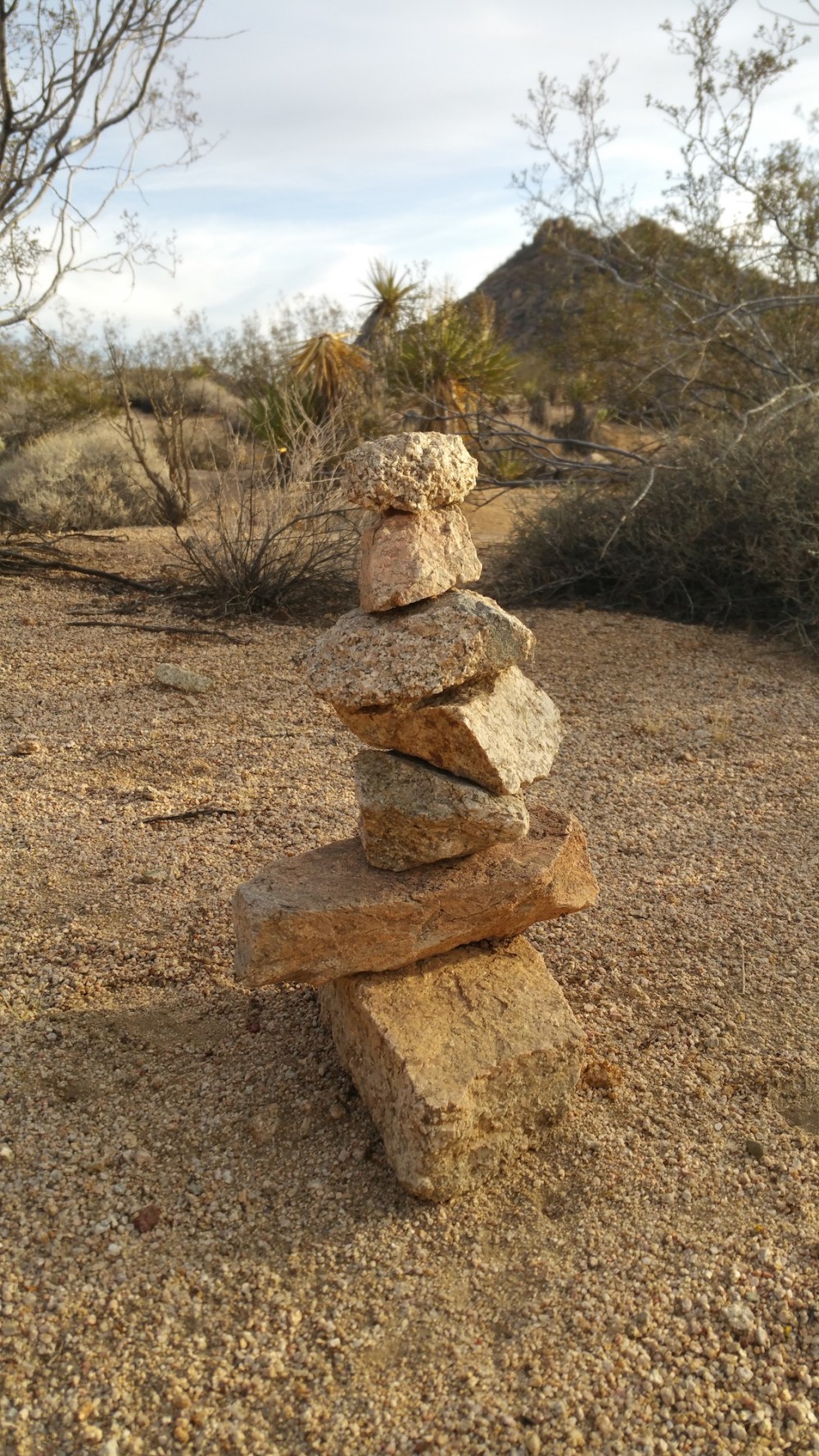 2016-11-12 15.44.07_resized