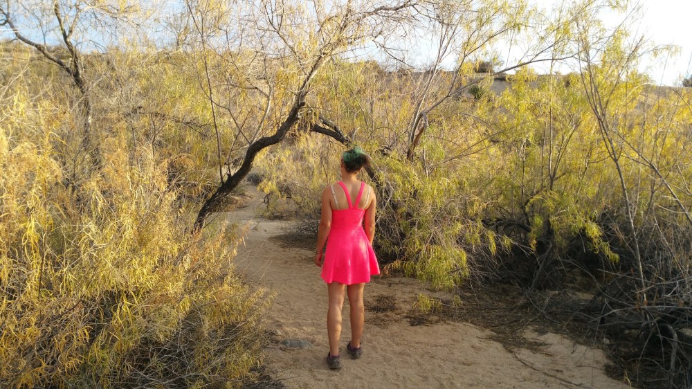 2016-11-12 15.58.38_resized