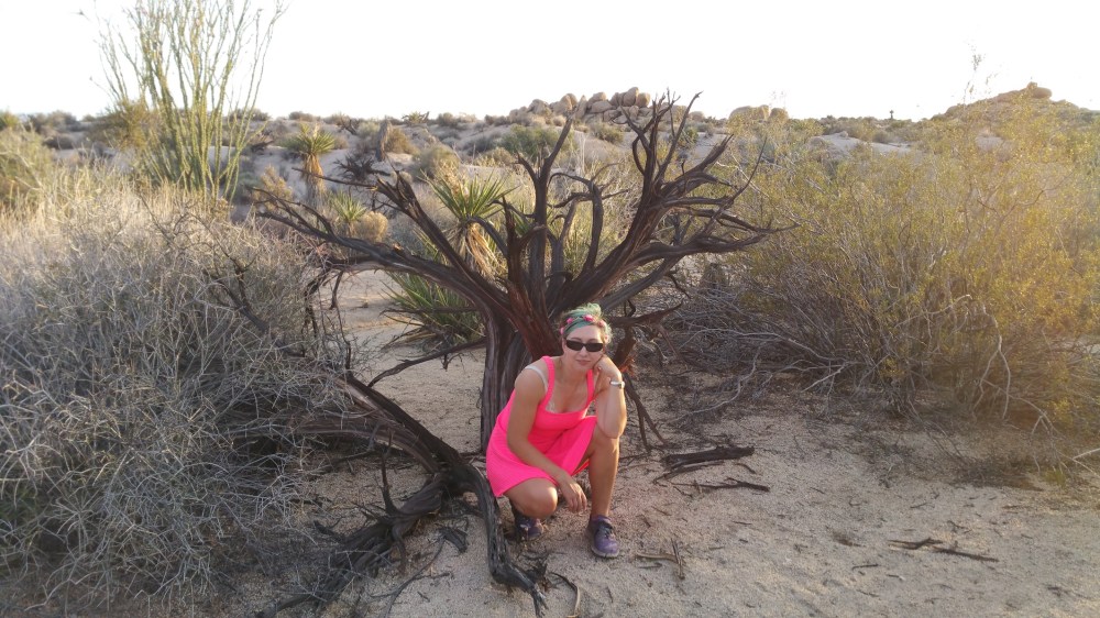 2016-11-12 16.13.58_resized