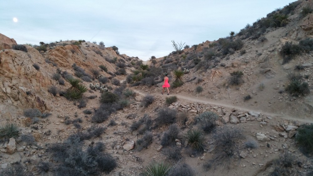 2016-11-12 16.44.41_resized