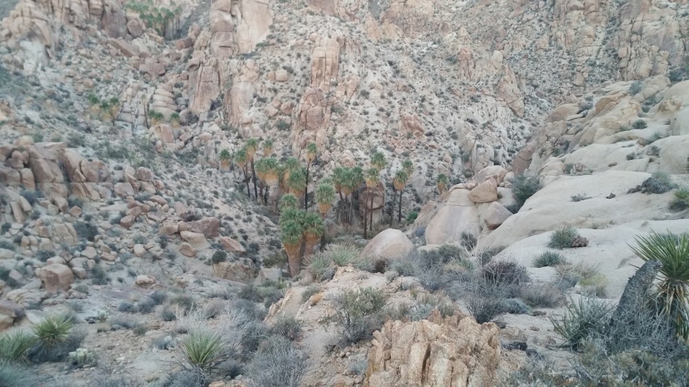 2016-11-12 16.46.34_resized