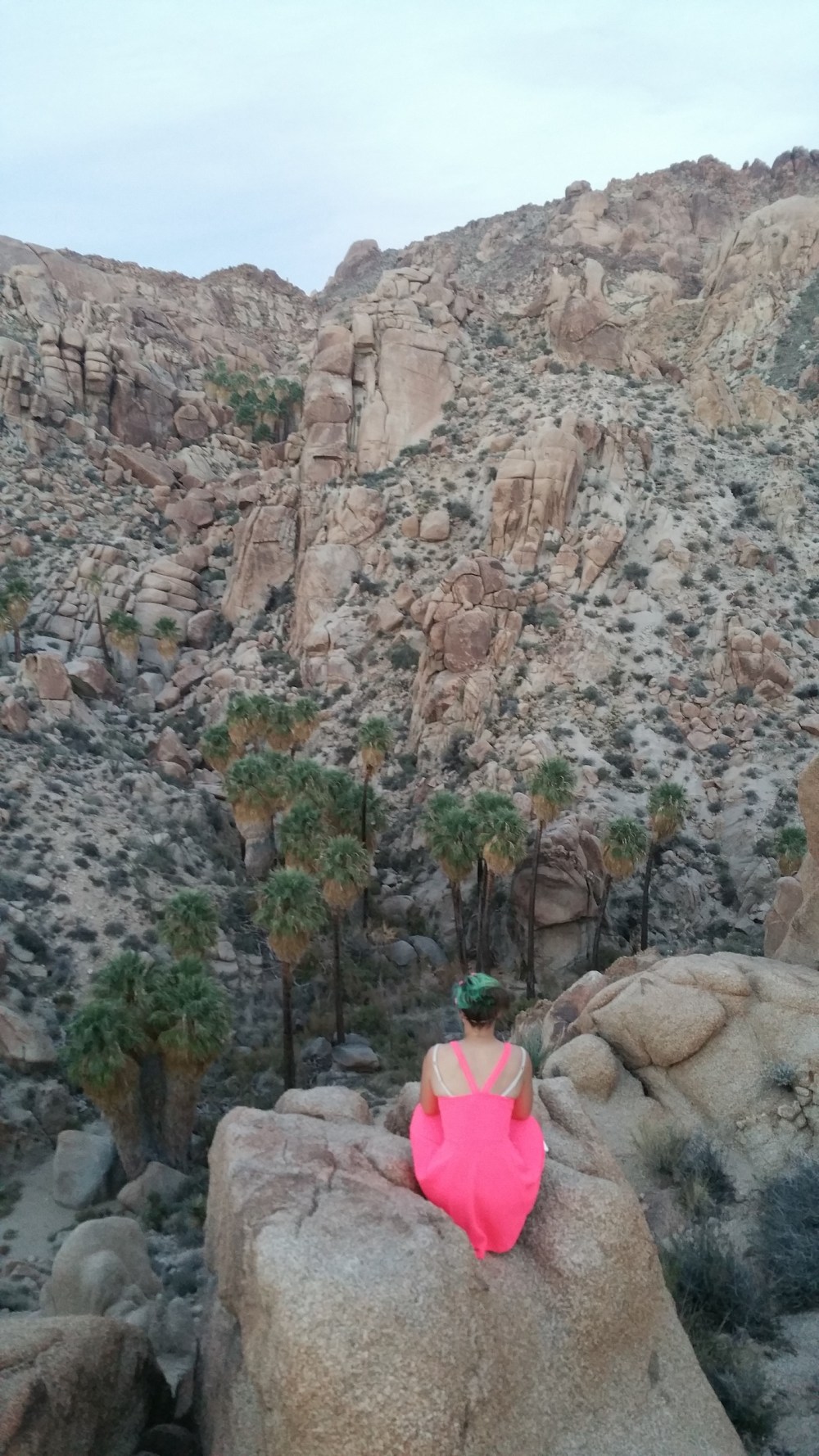 2016-11-12 16.48.32_resized