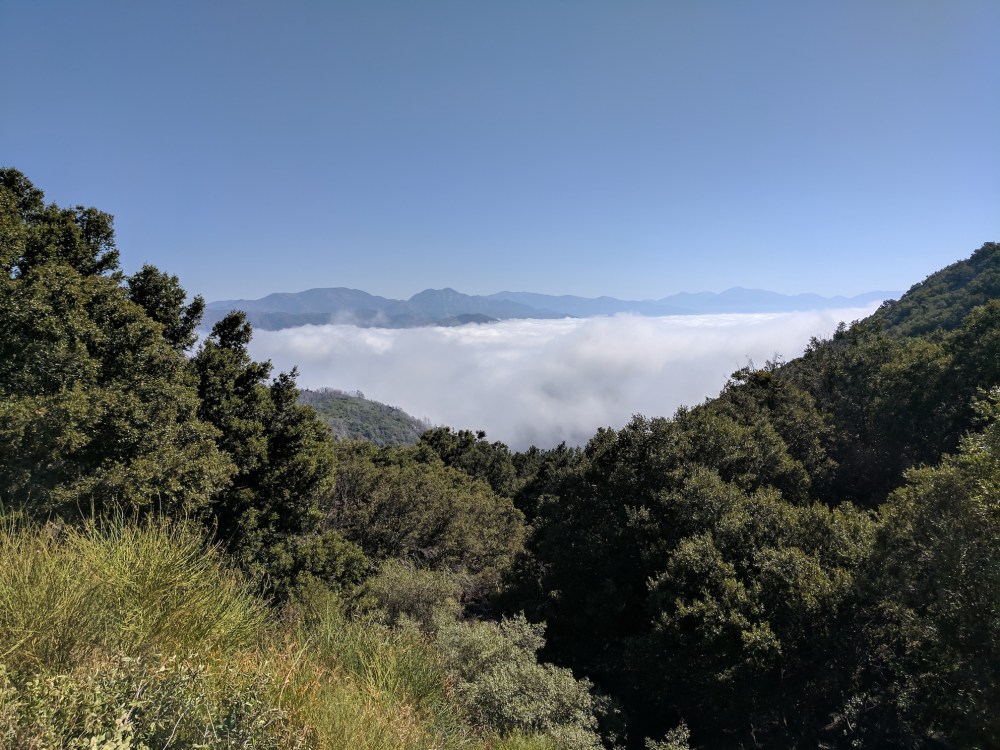 IMG_20170917_100428_resized