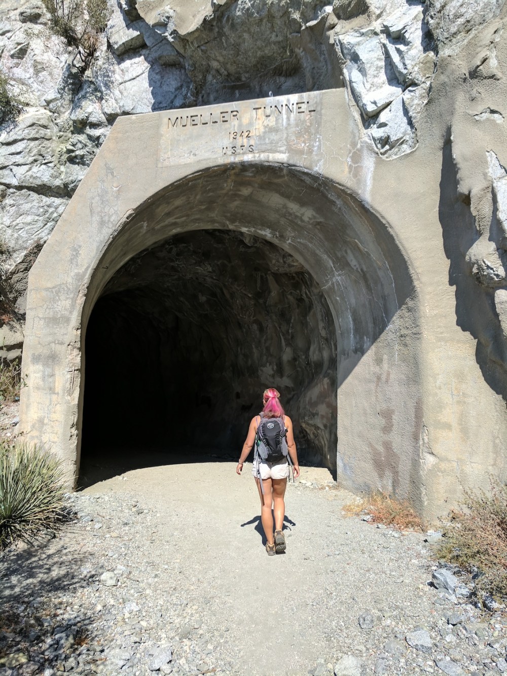 IMG_20170917_101715_resized