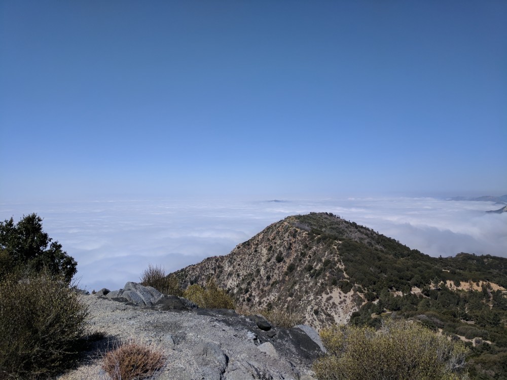 IMG_20170917_105641_resized