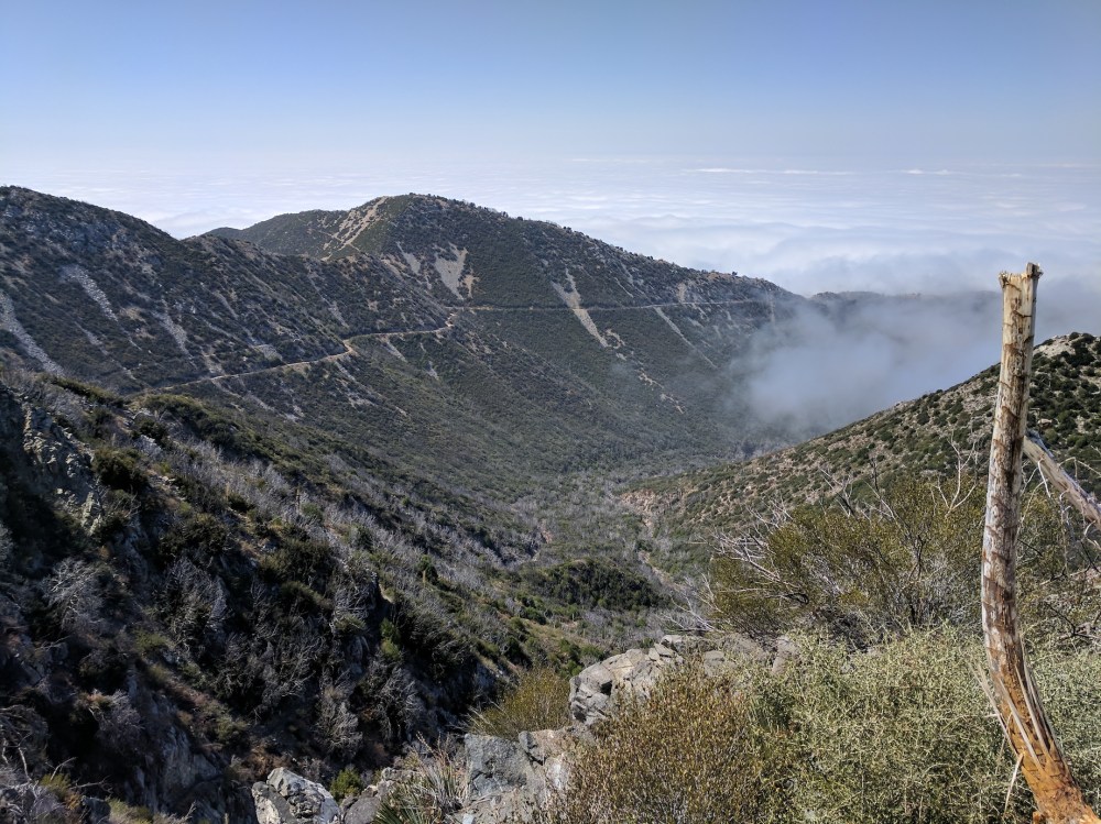 IMG_20170917_110955_resized