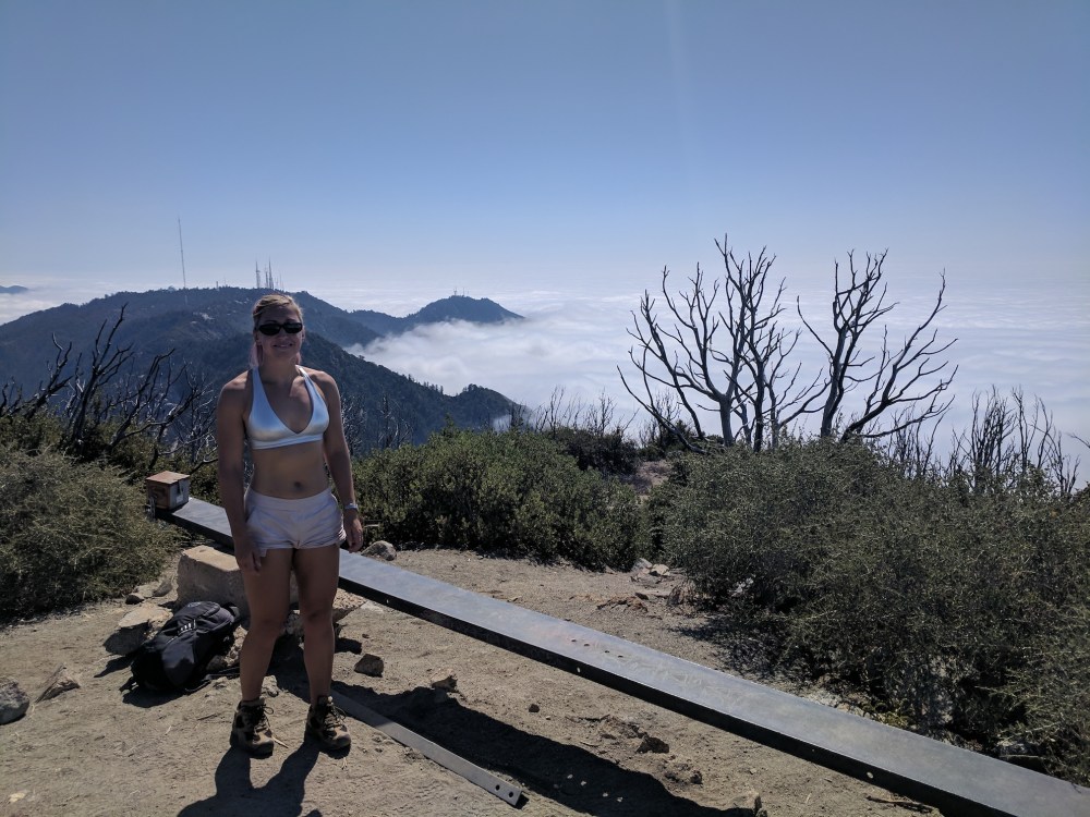 IMG_20170917_112739_resized