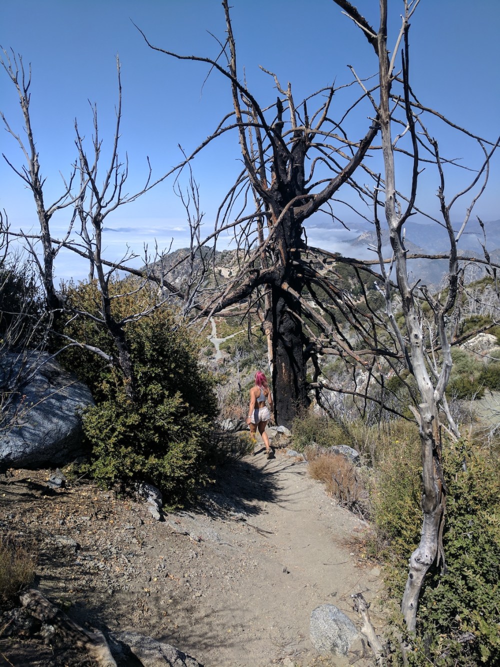 IMG_20170917_113041_resized