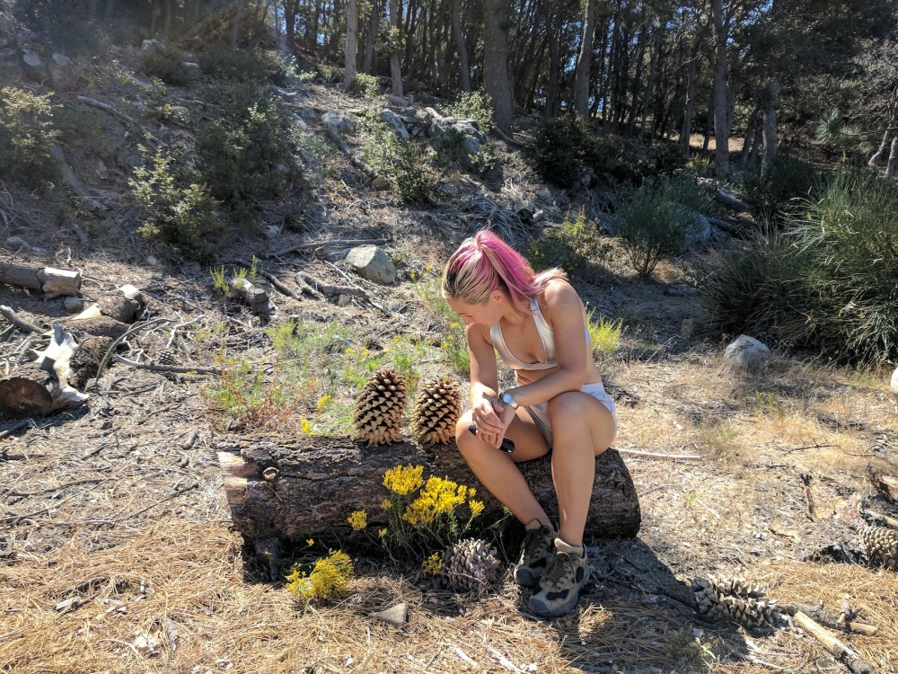 IMG_20170917_115506_resized