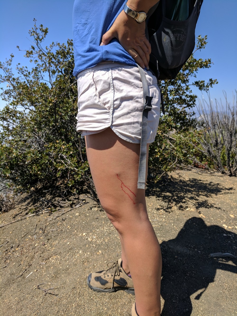 IMG_20170917_120950_resized