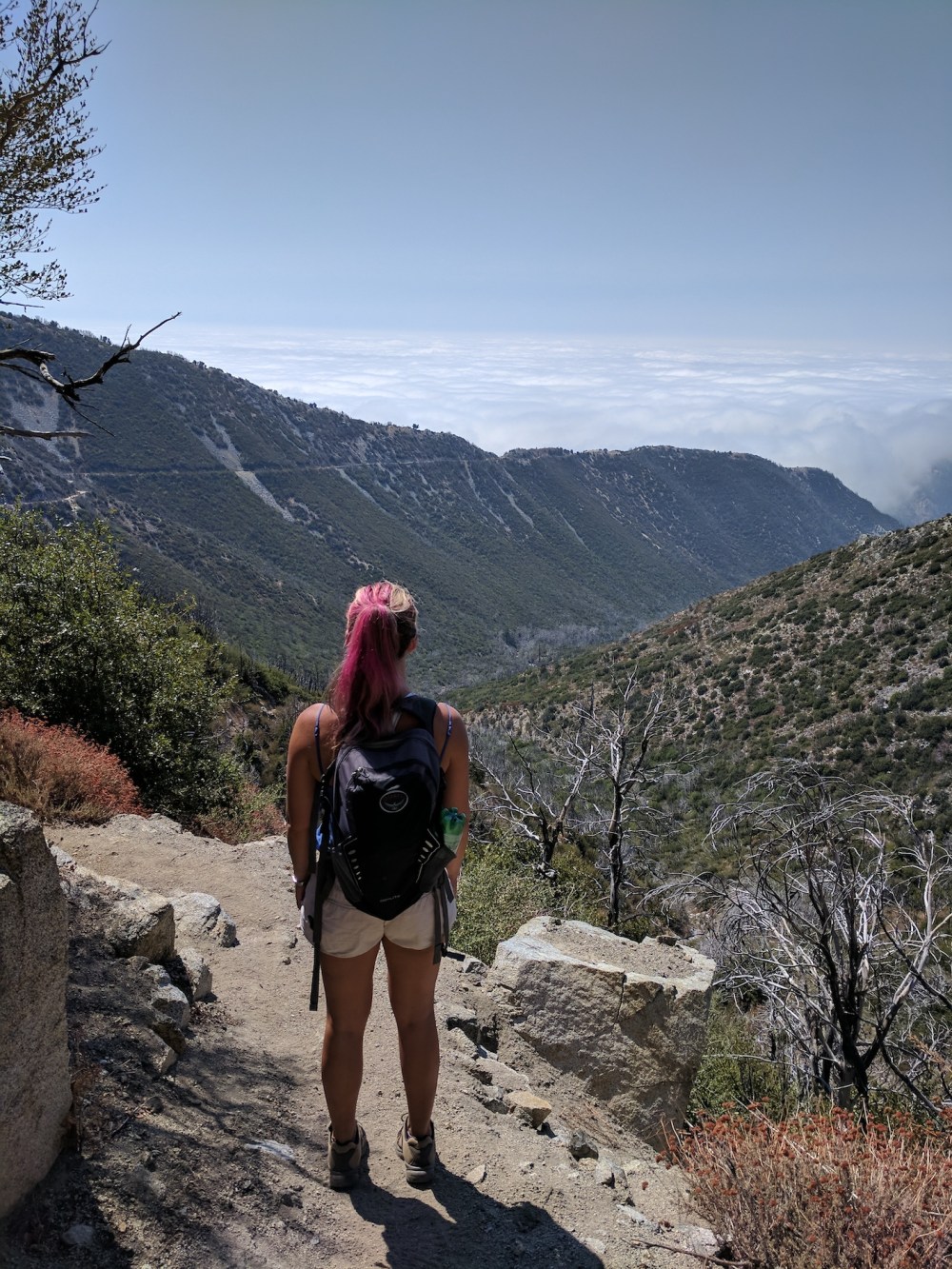 IMG_20170917_132753_resized