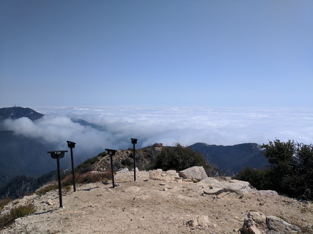 IMG_20170917_140211_resized