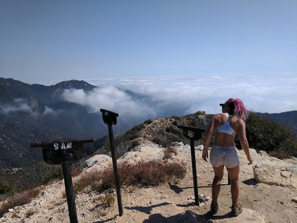 IMG_20170917_140251_resized