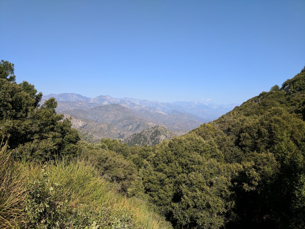 IMG_20170917_155546_resized